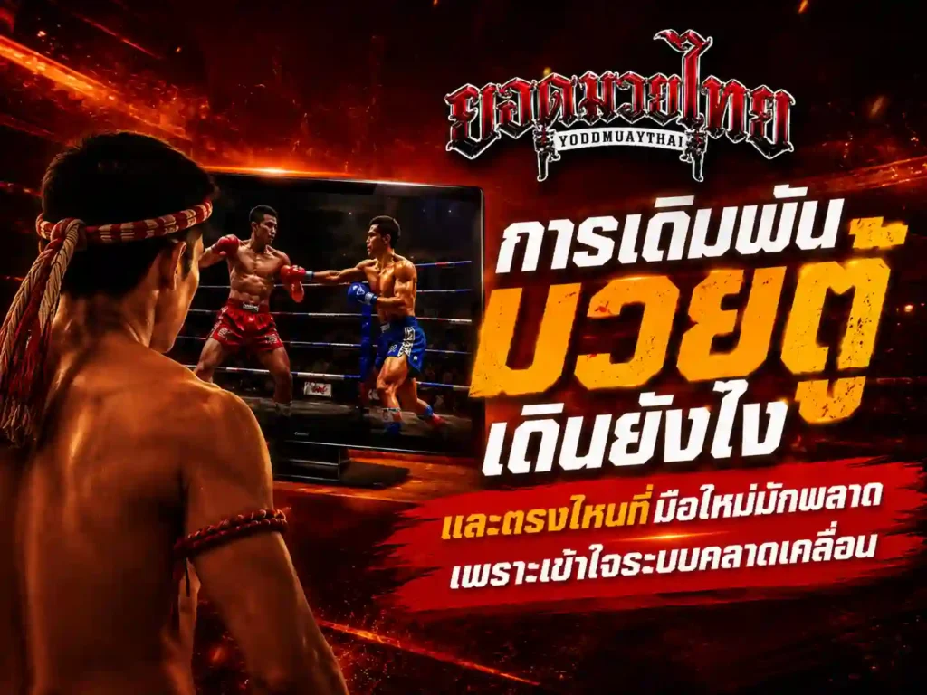 เดิมพันมวย ตู้เดินยังไง และตรงไหนที่มือใหม่มักพลาด