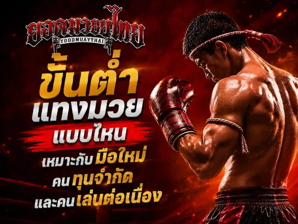 ขั้นต่ำใน เว็บแทงมวย แบบไหนเหมาะกับมือใหม่