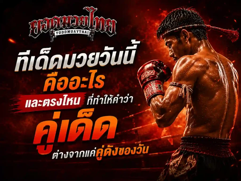 ทีเด็ดมวยวันนี้ คืออะไร