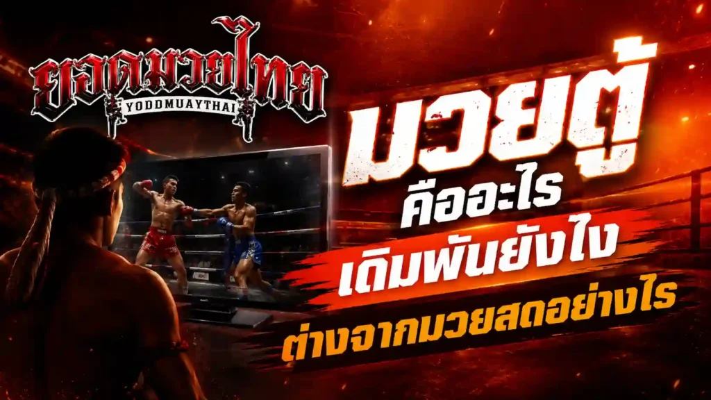 มวยตู้ คืออะไร เดิมพันยังไง ต่างจากมวยสดอย่างไร