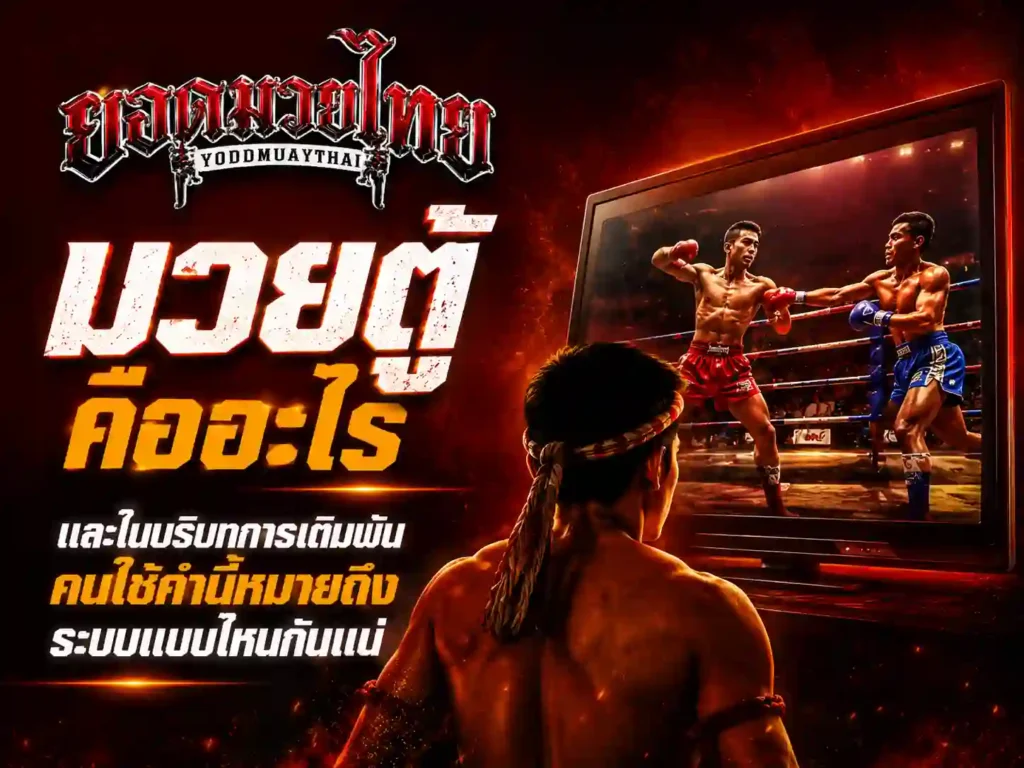 มวยตู้ คืออะไรและในบริบทการเดิมพันคนใช้คำนี้