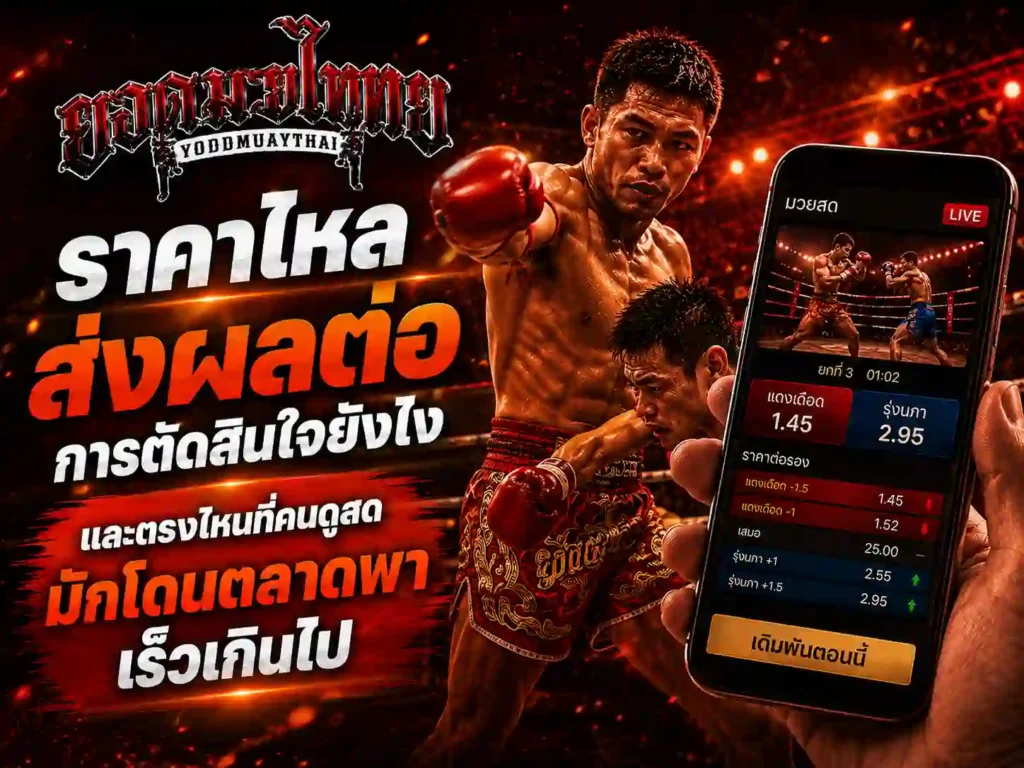 ราคามวยไหลวันนี้ ส่งผลต่อการตัดสินใจยังไง