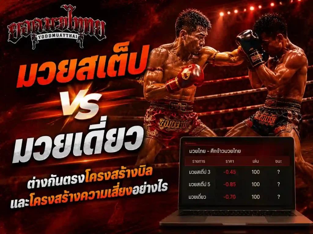 มวยสเต็ป vs มวยเดี่ยว ต่างกันตรงโครงสร้างอย่างไร