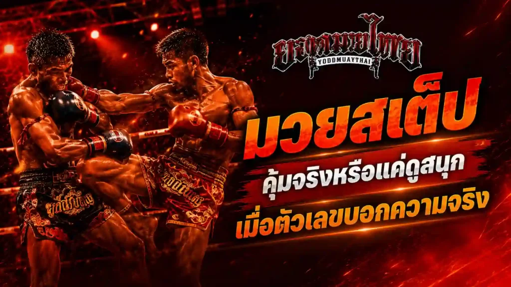 มวยสเต็ป คุ้มจริงหรือแค่ดูสนุก