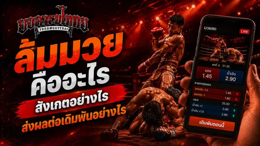 ล้มมวยคืออะไร วิธีสังเกตและผลกระทบ