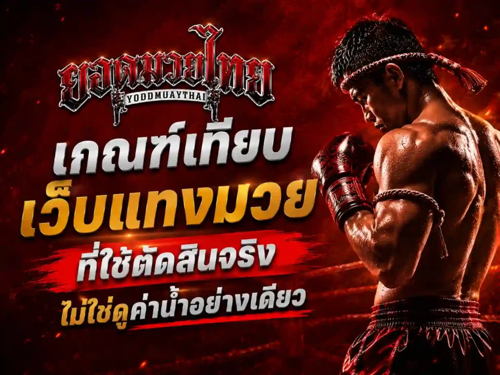 เกณฑ์เทียบ เว็บแทงมวย ที่ใช้ตัดสินจริง