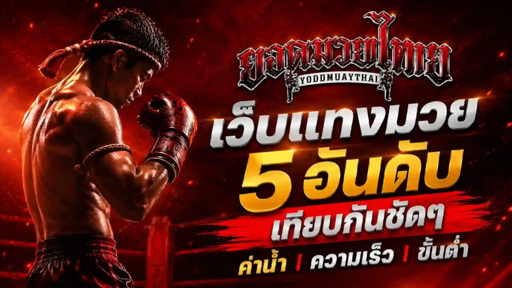 เว็บแทงมวย 5 อันดับเทียบกันชัดๆ ค่าน้ำ ความเร็ว ขั้นต่ำ