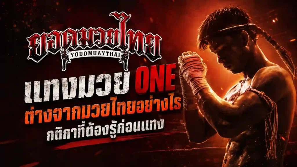 แทงมวย one ต่างจากมวยไทยตรงไหน