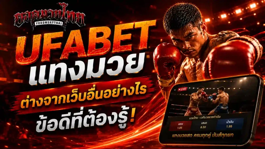 แทงมวย UFABET ต่างจากเว็บมวยอื่นตรงไหน