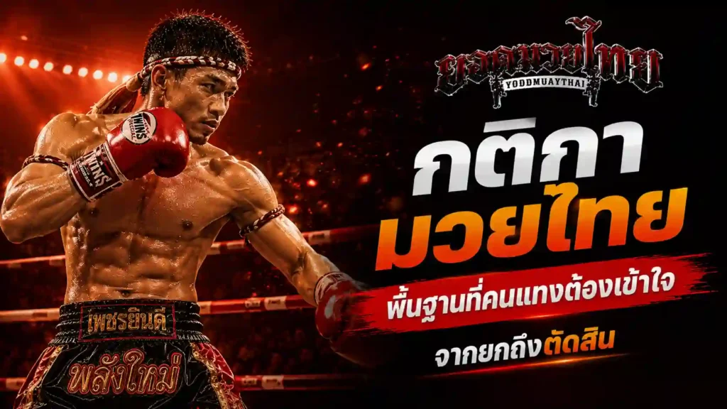 กติกามวยไทย พื้นฐานที่ต้องเข้าใจ