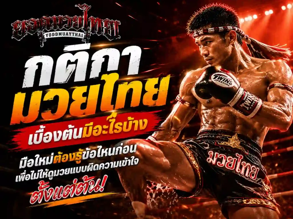 กติกามวยไทย เบื้องต้นมีอะไรบ้าง