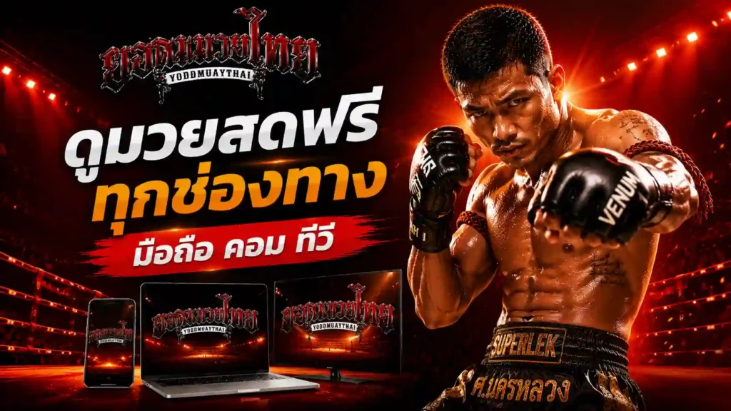 ดูมวยสด ฟรี ควรเริ่มดูทางไหนก่อน