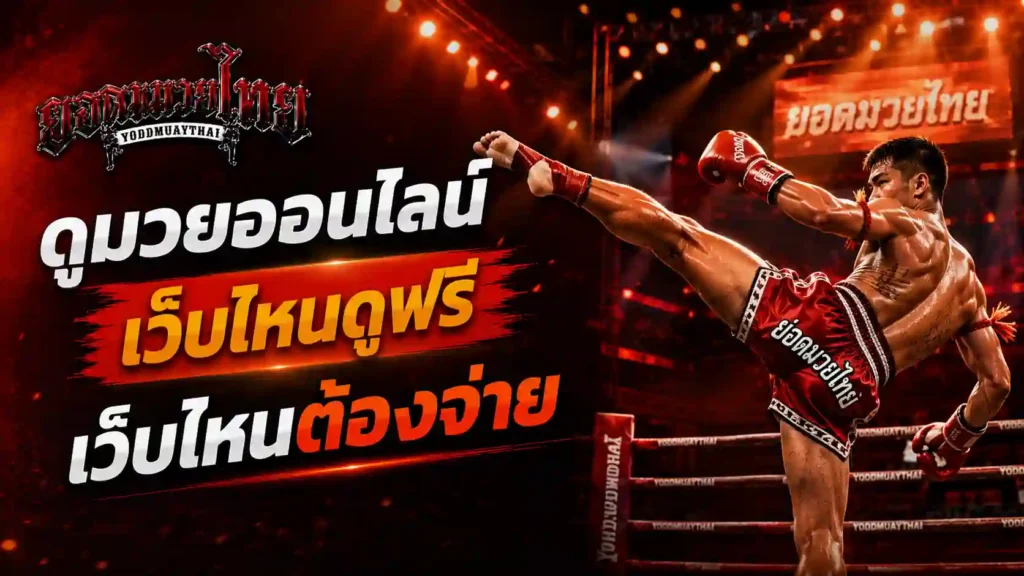 ดูมวยออนไลน์ แบบฟรีกับแบบเสียเงินต่างกันตรงไหน