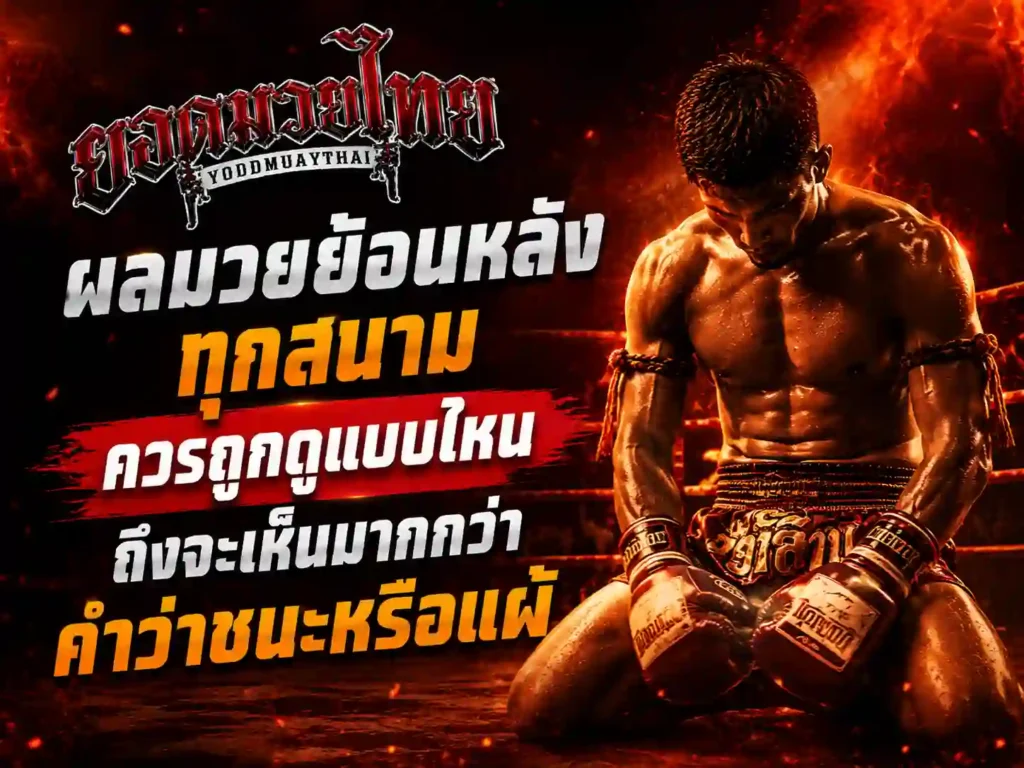ผลมวย ย้อนหลังทุกสนามควรถูกดูแบบไหน