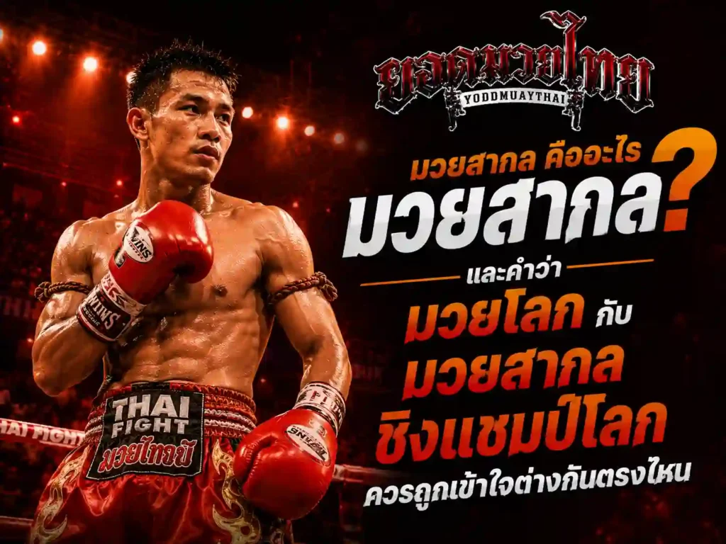 มวยสากล คืออะไร