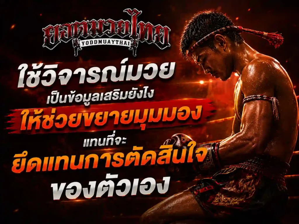 ใช้ วิจารณ์มวย เป็นข้อมูลเสริมยังไงให้ช่วยขยายมุมมอง