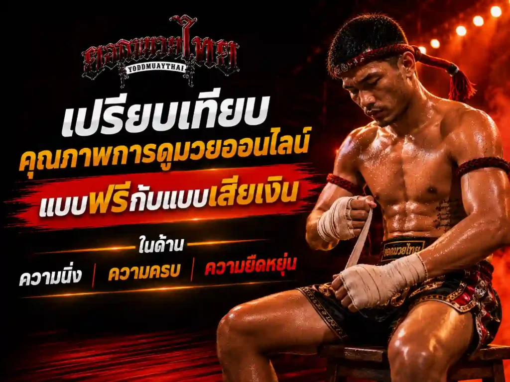 เปรียบเทียบคุณภาพการดูมวยออนไลน์ แบบฟรีกับแบบเสียเงิน