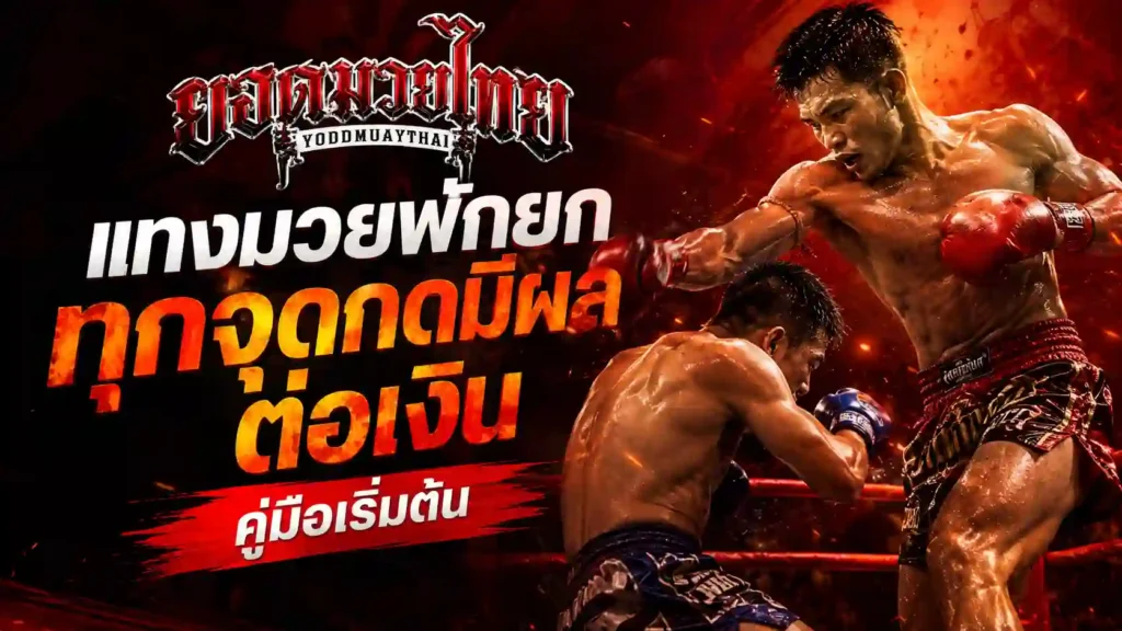 แทงมวยพักยก เริ่มยังไงไม่ให้กดพลาด