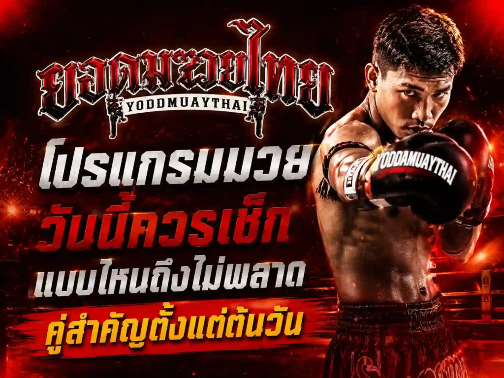 โปรแกรมมวยวันนี้ ครบทุกสนาม เช็กก่อนหาลิงก์ดู