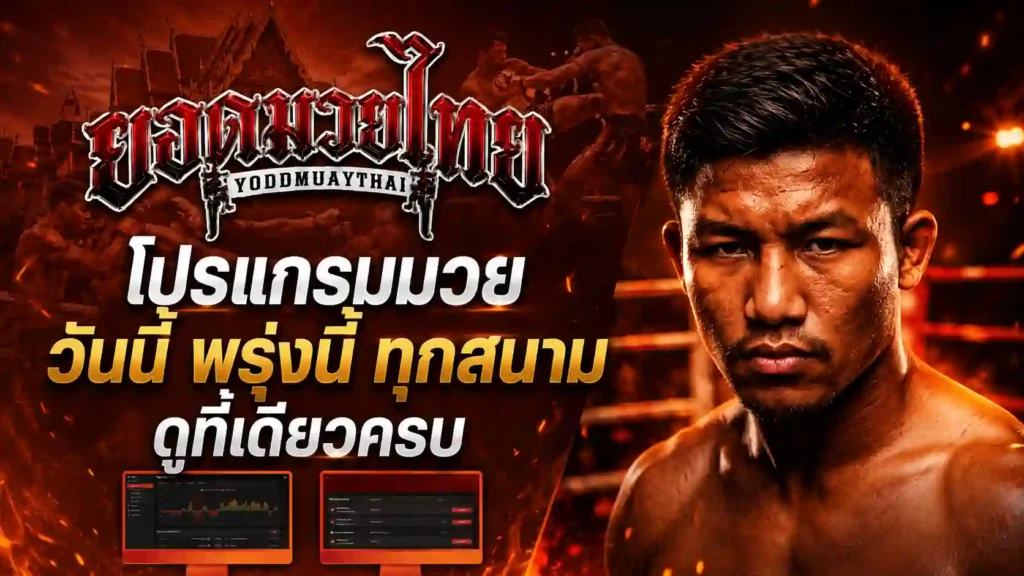โปรแกรมมวย วันนี้และพรุ่งนี้ ต้องดูอะไรบ้าง